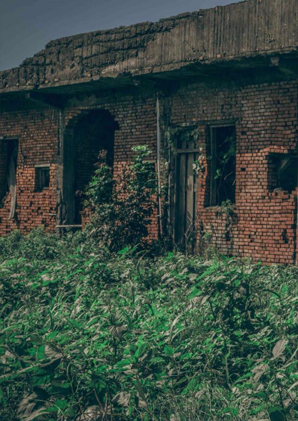 PHOTO-SET-Whoseman-1-吳敵警長來囉~~~我的靴子裡有蛇